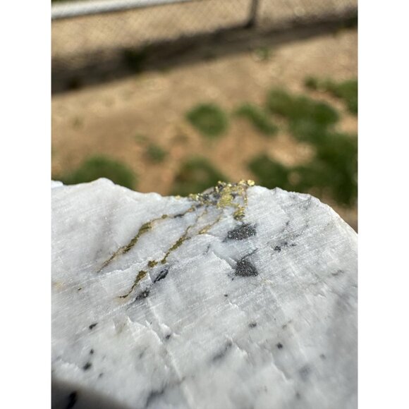 Gold in Quartz - 16 to 1 Mine - Alleghany, California Specimen - 23 grams - Picture 4 of 7